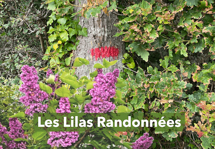 Lilas Randonnées